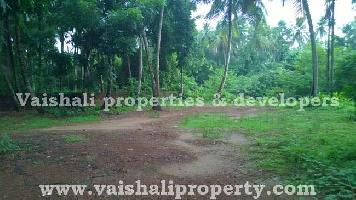  Residential Plot for Sale in Malikadavu, Kozhikode