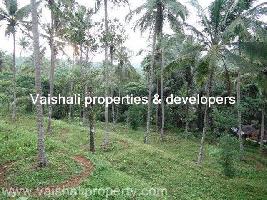  Residential Plot for Sale in Peruvayal, Kozhikode