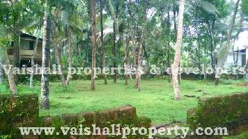  Residential Plot for Sale in Balussery, Kozhikode