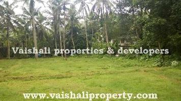  Residential Plot for Sale in Parambil Bazar, Kozhikode