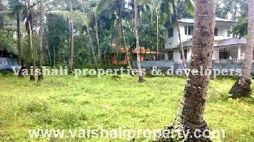  Residential Plot for Sale in Kuruvattur, Kozhikode