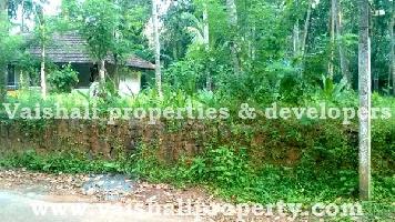  Residential Plot for Sale in Pullurampara, Kozhikode