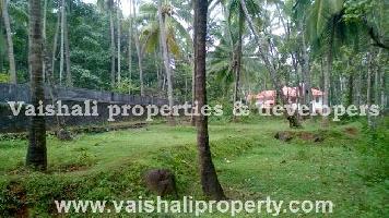  Residential Plot for Sale in Atholi, Kozhikode