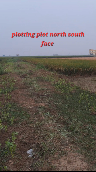  Residential Plot 1200 Sq.ft. for Sale in Sampatchak, Patna