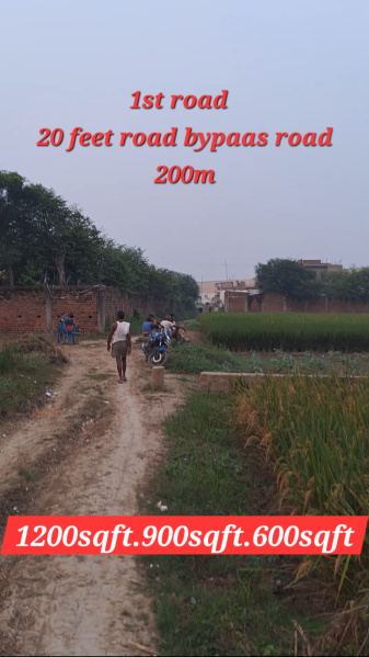  Residential Plot 1200 Sq.ft. for Sale in Sampatchak, Patna