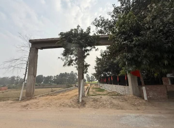  Residential Plot for Sale in Rajgir, Nalanda