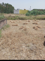  Residential Plot for Sale in Peerumadara, Nainital