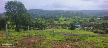  Agricultural Land for Sale in Pali, Raigad