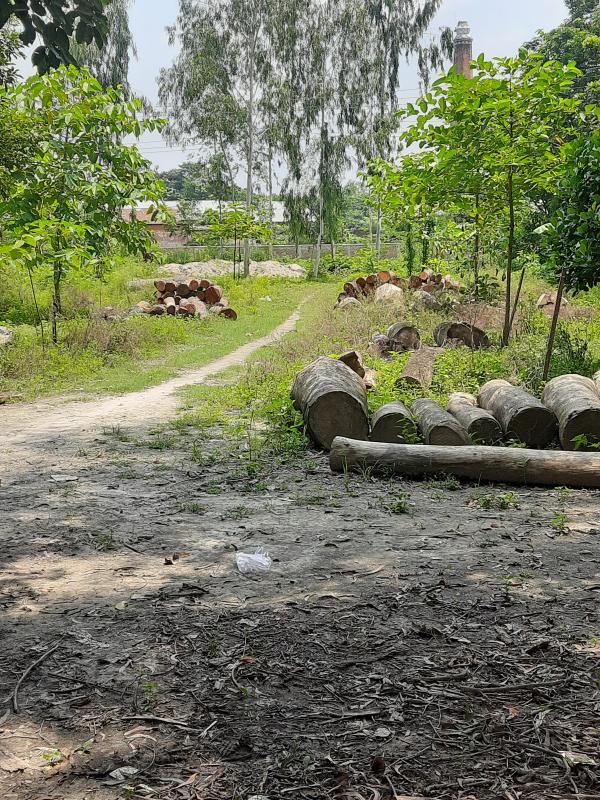  Residential Plot 4320 Cent for Sale in Raiganj, Uttar Dinajpur