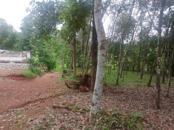  Residential Plot for Sale in Kottarakkara, Kollam