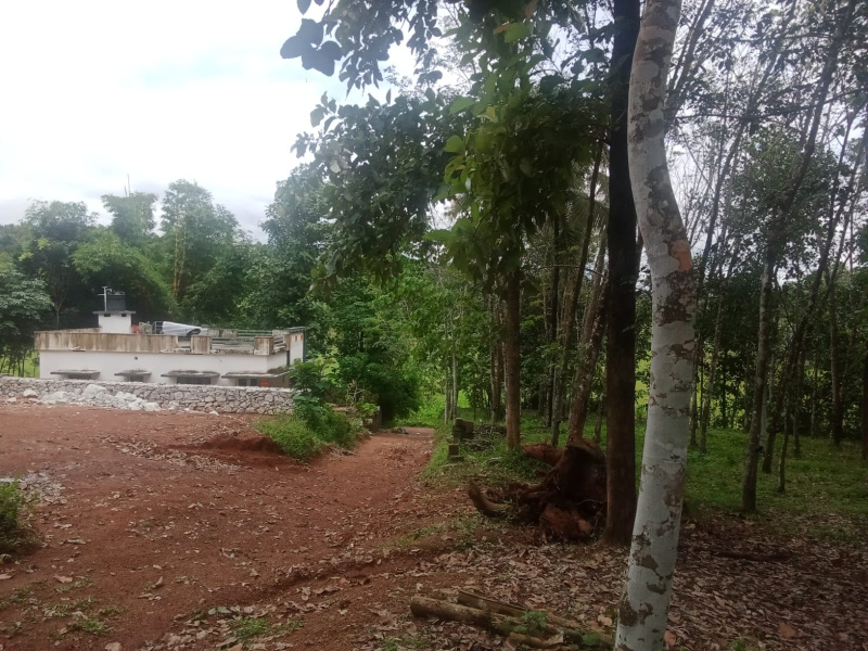  Residential Plot 10 Cent for Sale in Kottarakkara, Kollam