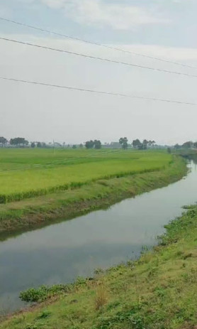  Agricultural Land 33 Katha for Sale in Harnaut, Nalanda