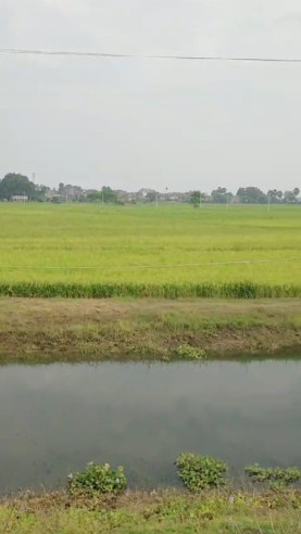  Agricultural Land 33 Katha for Sale in Harnaut, Nalanda