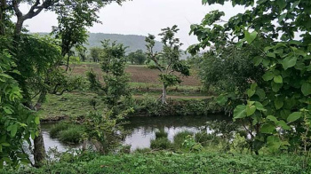  Agricultural Land for Sale in Simrol, Indore