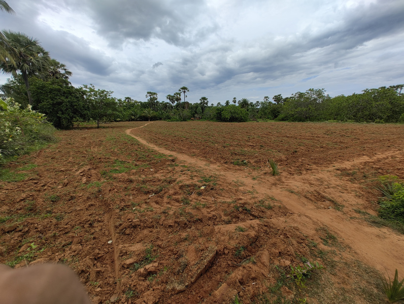  Agricultural Land 76 Cent for Sale in Achutapuram, Visakhapatnam