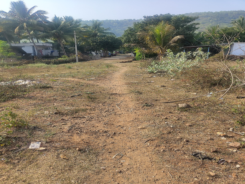  Agricultural Land 76 Cent for Sale in Achutapuram, Visakhapatnam