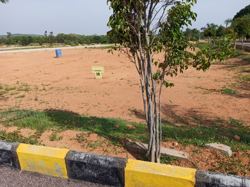  Residential Plot 146 Sq. Yards for Sale in Shankarampet, Medak