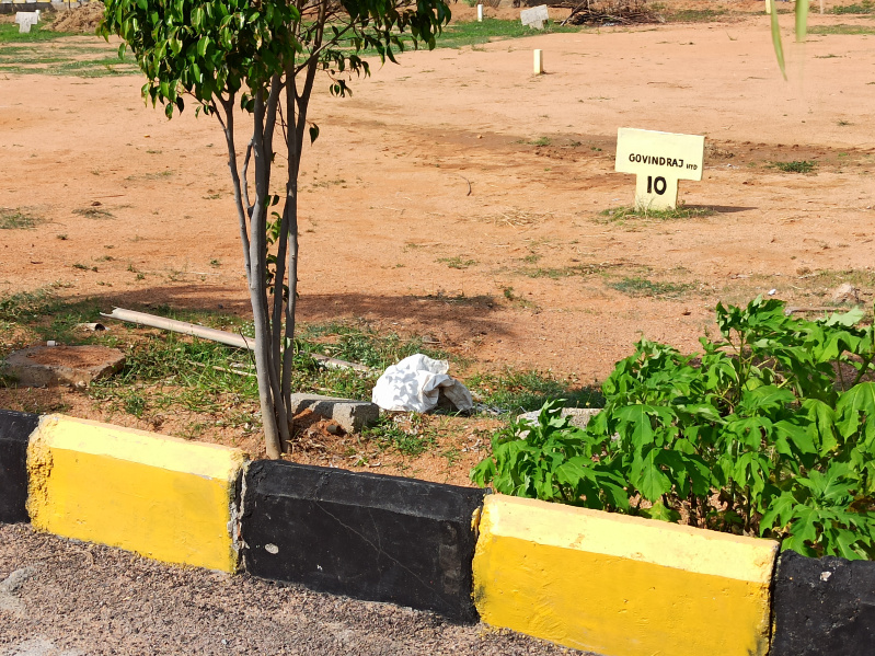  Residential Plot 146 Sq. Yards for Sale in Shankarampet, Medak