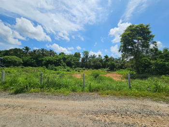  Residential Plot for Sale in Ayanthole, Thrissur