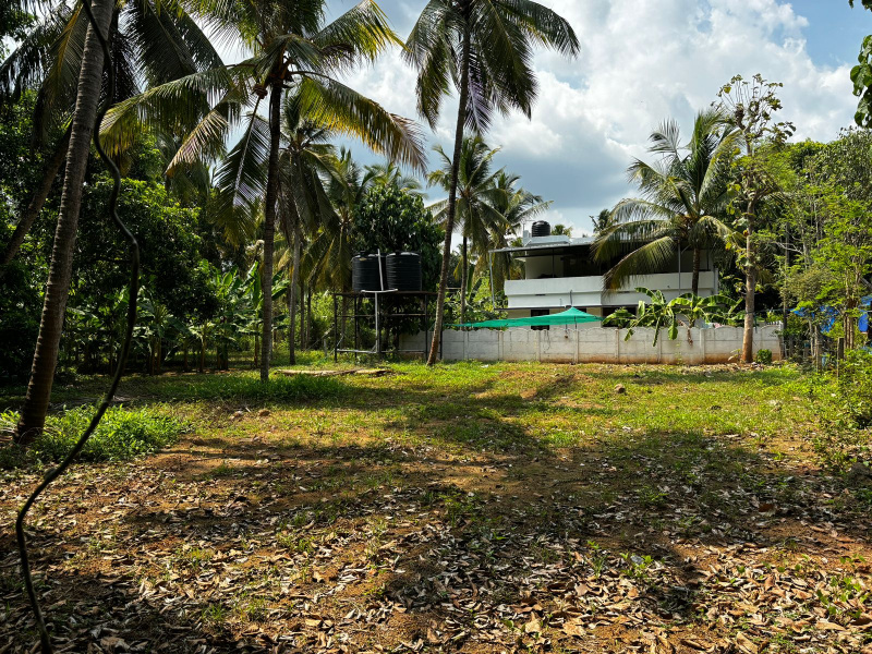  Commercial Land 73 Cent for Sale in Kechery, Thrissur