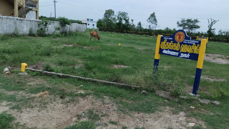  Residential Plot 1200 Sq.ft. for Sale in Anna Nagar, Chennai