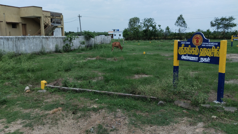  Residential Plot 1200 Sq.ft. for Sale in Anna Nagar, Chennai