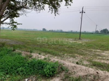  Residential Plot for Sale in Sector 120, Mohali