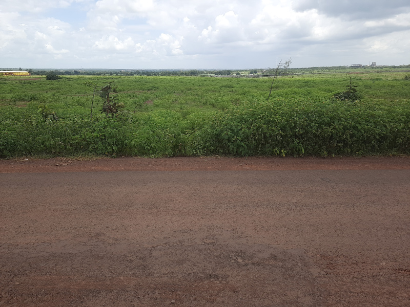  Agricultural Land 43560 Sq.ft. for Sale in Naubad, Bidar