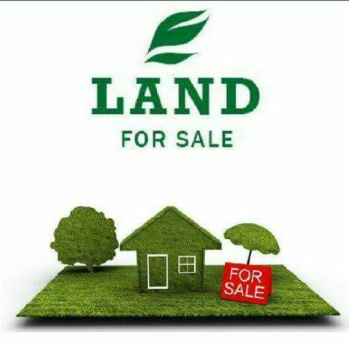  Residential Plot for Sale in Mathura Road, Badarpur, Delhi