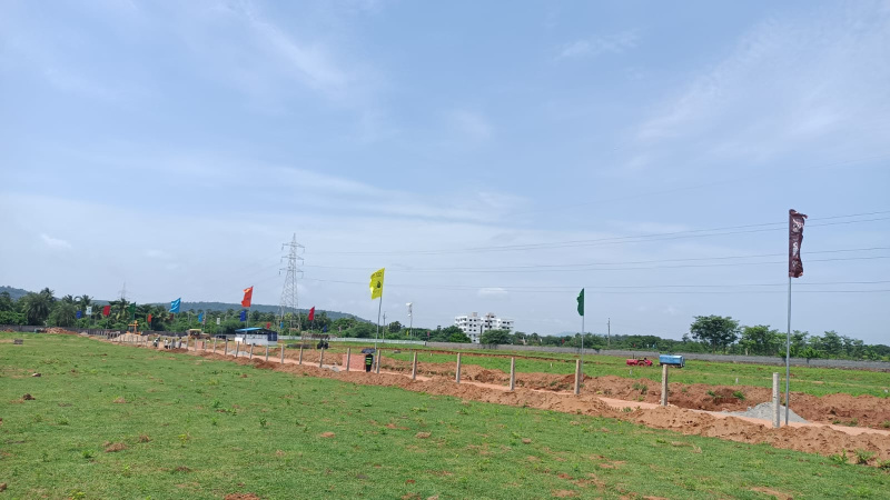  Residential Plot 200 Sq. Yards for Sale in Bheemili, Visakhapatnam