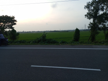  Residential Plot for Sale in Malatipatpur, Puri