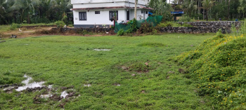  Residential Plot for Sale in Pandikkad, Malappuram