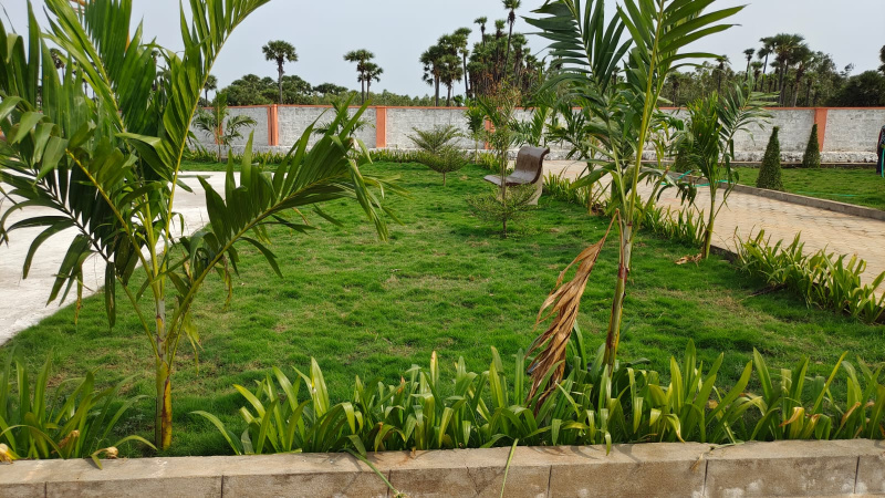  Residential Plot 180 Sq. Yards for Sale in Ntr Colony, Vijayawada