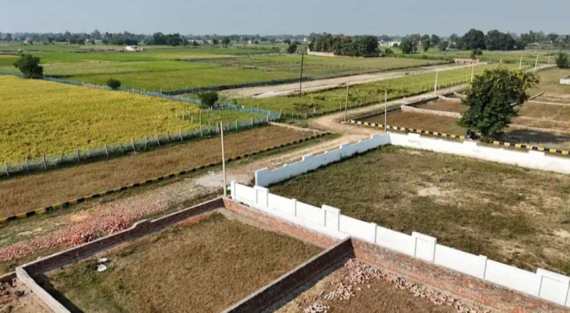  Residential Plot 1000 Sq.ft. for Sale in Kamta, Lucknow