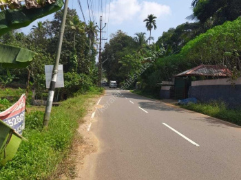  Residential Plot for Sale in Ranni, Pathanamthitta