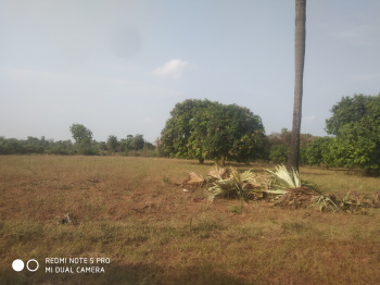  Agricultural Land for Sale in Samalkota, East Godavari