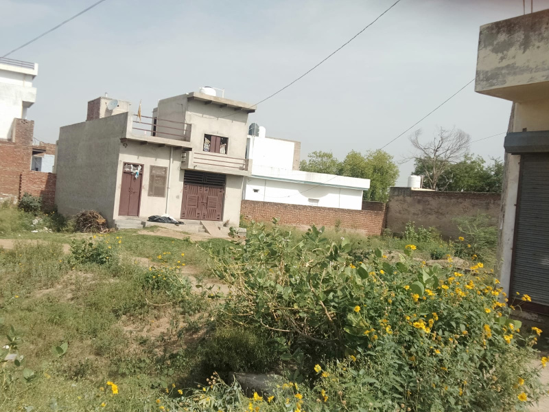  Residential Plot 150 Sq.ft. for Sale in Kosli, Rewari