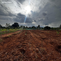  Agricultural Land for Sale in Denkanikottai, Hosur