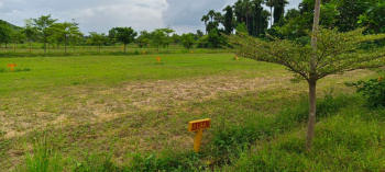  Residential Plot for Sale in Boddam, Visakhapatnam