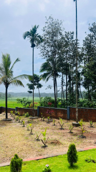 2 BHK Farm House for Sale in Ponnampet, Kodagu