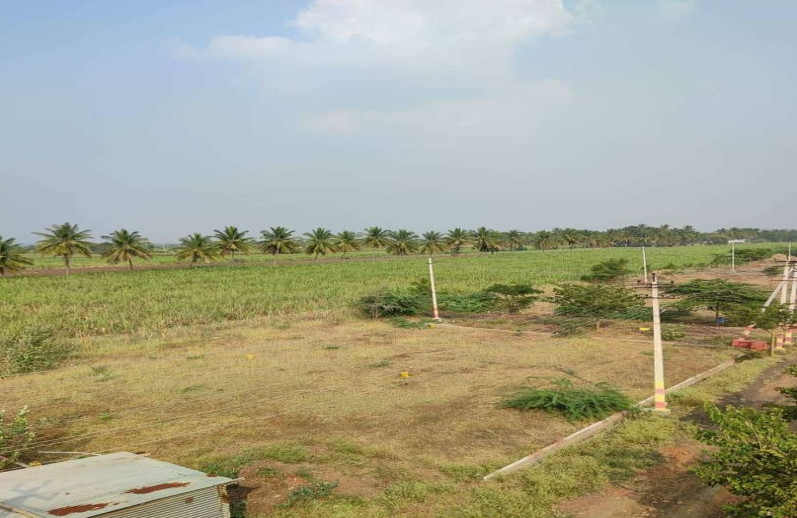  Residential Plot 1450 Sq.ft. for Sale in Jamkhandi, Bagalkot