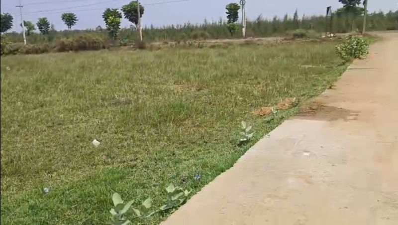  Agricultural Land 28 Cent for Sale in Thatichetlapalem, Visakhapatnam