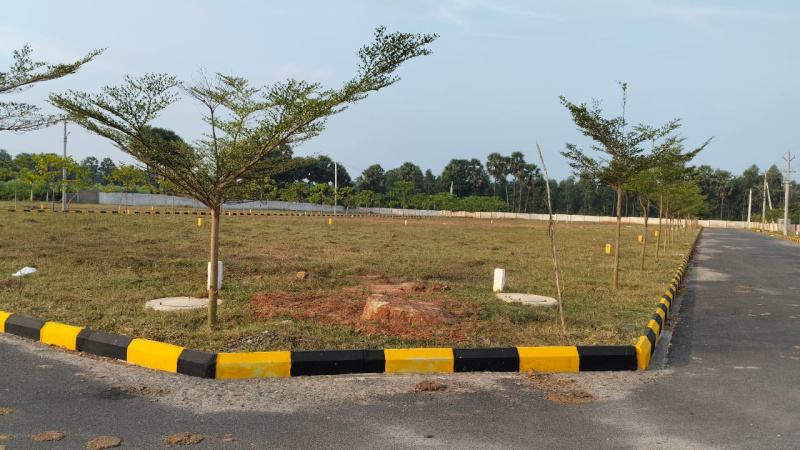  150 Sq. Yards Residential Plot for Sale in Bhogapuram, Visakhapatnam
