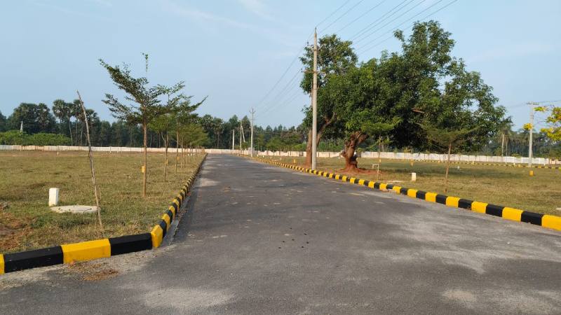  150 Sq. Yards Residential Plot for Sale in Bhogapuram, Visakhapatnam