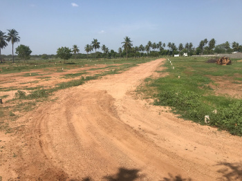  Residential Plot for Sale in Trichy Highways, Tiruchirappalli
