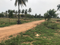  Residential Plot for Sale in Trichy Highways, Tiruchirappalli