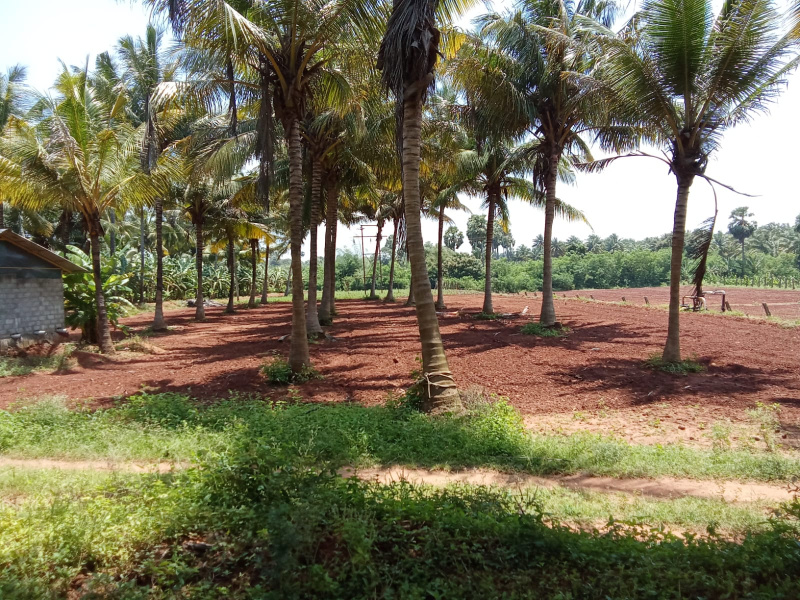  Industrial Land 3 Acre for Sale in K. G Chavadi, Coimbatore