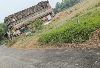  Agricultural Land for Sale in Mathurapur, South 24 Parganas