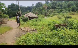  Agricultural Land for Sale in Athmallik, Angul