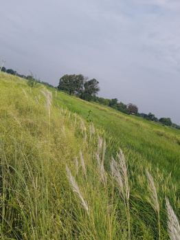  Agricultural Land for Sale in Manda, Allahabad